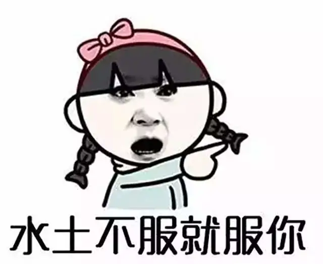 1607415501108467.webp 3.webp